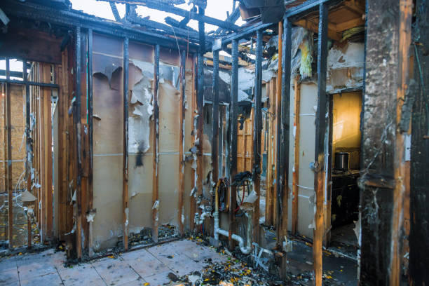 Professional Emergency Fire Cleanup technician working in Palo Cedro, CA
